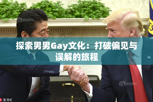探索男男Gay文化：打破偏见与误解的旅程