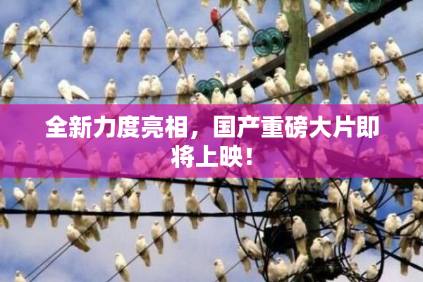 全新力度亮相，国产重磅大片即将上映！