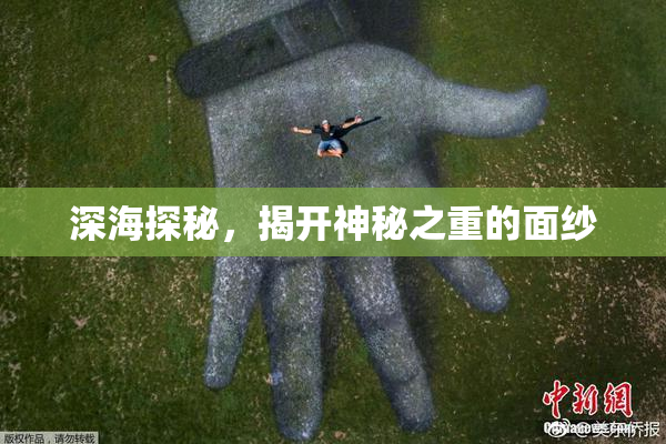 深海探秘，揭开神秘之重的面纱
