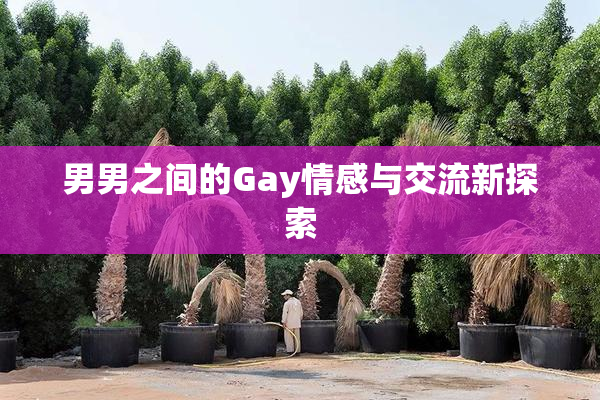 男男之间的Gay情感与交流新探索