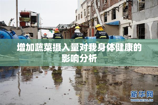 增加蔬菜摄入量对我身体健康的影响分析