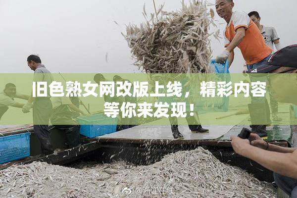 旧色熟女网改版上线，精彩内容等你来发现！