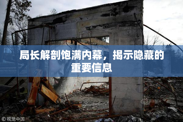 局长解剖饱满内幕，揭示隐藏的重要信息