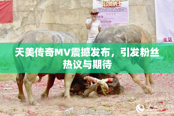 天美传奇MV震撼发布，引发粉丝热议与期待