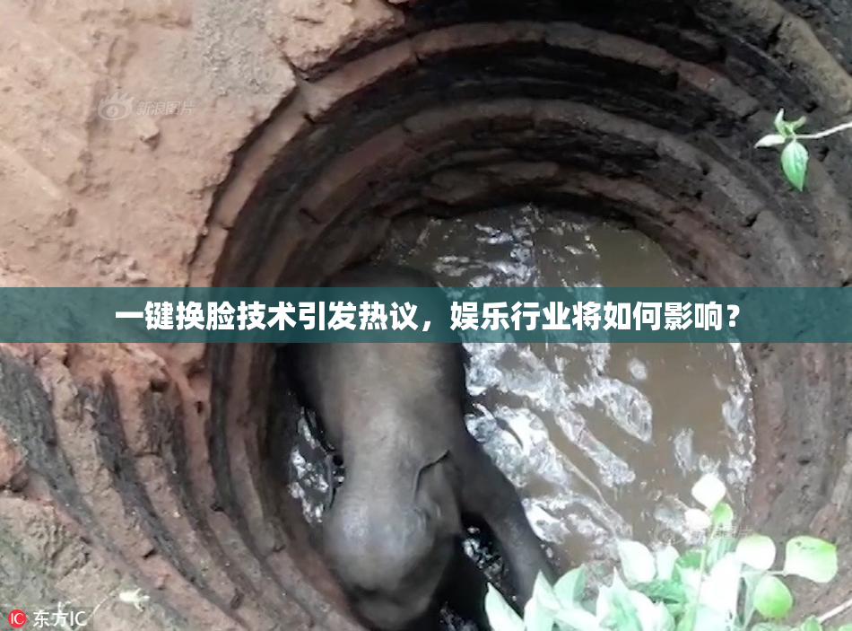一键换脸技术引发热议，娱乐行业将如何影响？