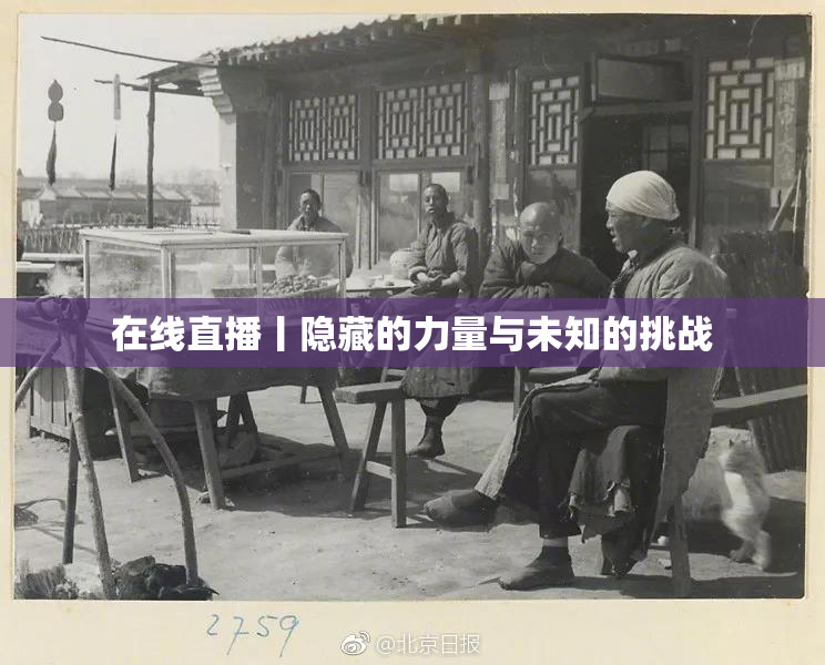 在线直播丨隐藏的力量与未知的挑战