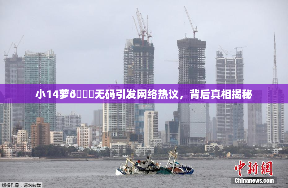 小14萝🔞无码引发网络热议，背后真相揭秘