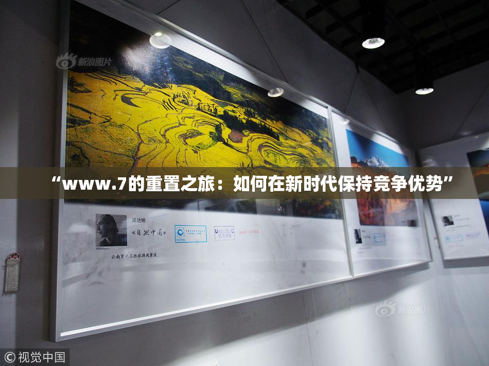 “www.7的重置之旅：如何在新时代保持竞争优势”
