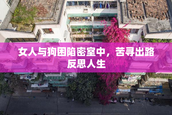 女人与狗困陷密室中，苦寻出路反思人生