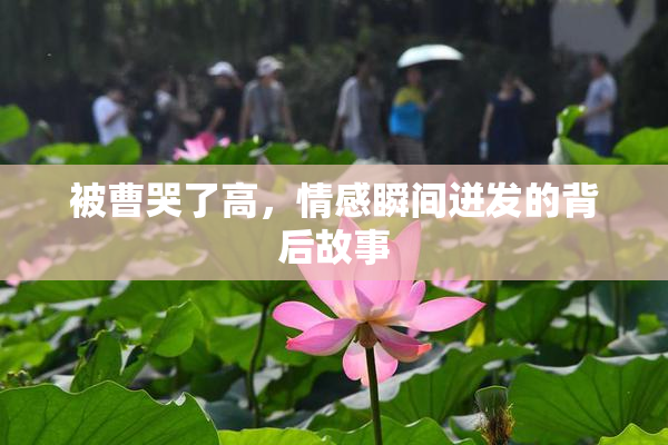 被曹哭了高，情感瞬间迸发的背后故事