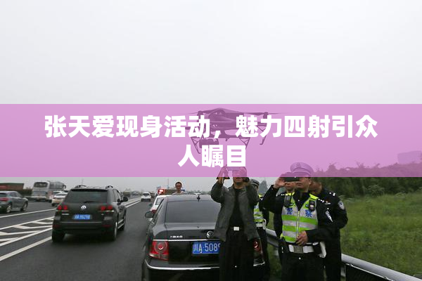 张天爱现身活动，魅力四射引众人瞩目