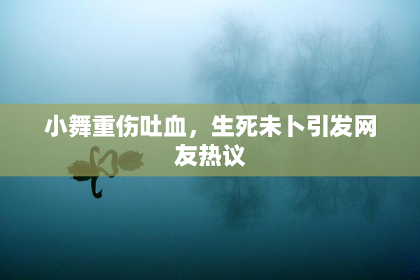 小舞重伤吐血，生死未卜引发网友热议