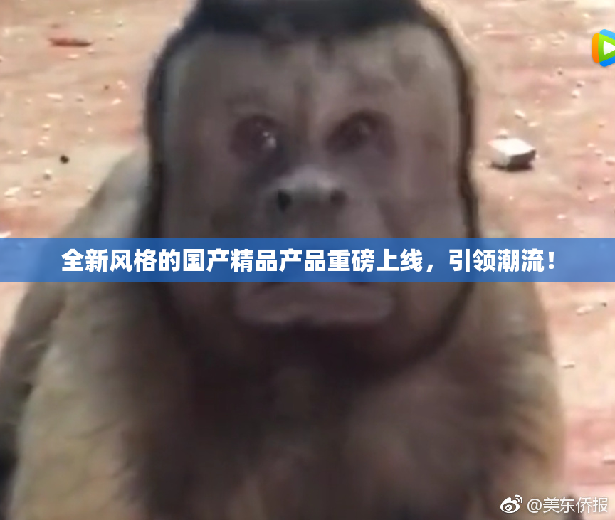 全新风格的国产精品产品重磅上线，引领潮流！
