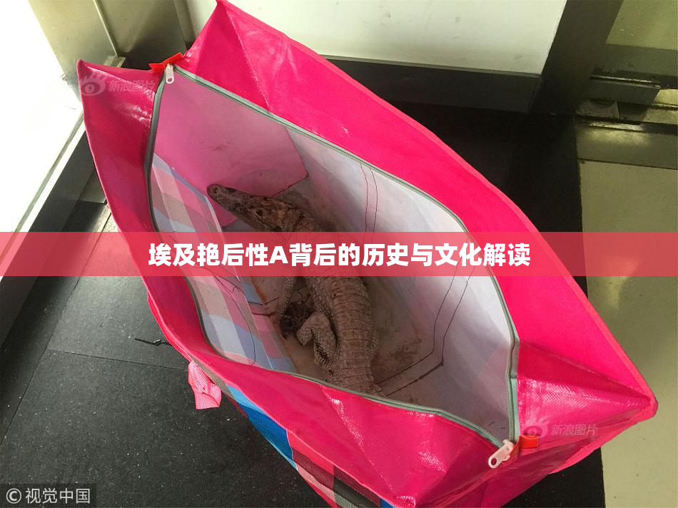 埃及艳后性A背后的历史与文化解读