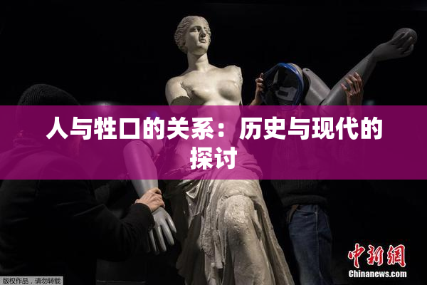 人与牲口的关系：历史与现代的探讨