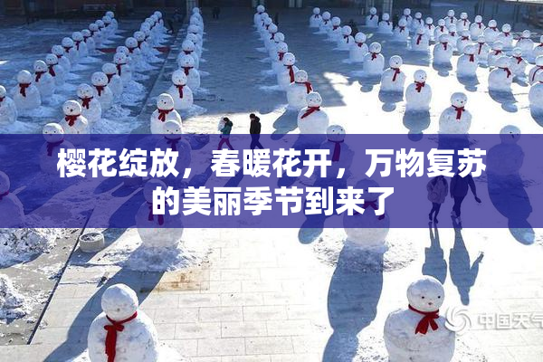 樱花绽放，春暖花开，万物复苏的美丽季节到来了