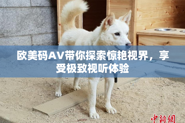 欧美码AV带你探索惊艳视界，享受极致视听体验