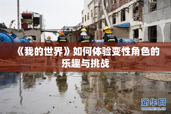 《我的世界》如何体验变性角色的乐趣与挑战