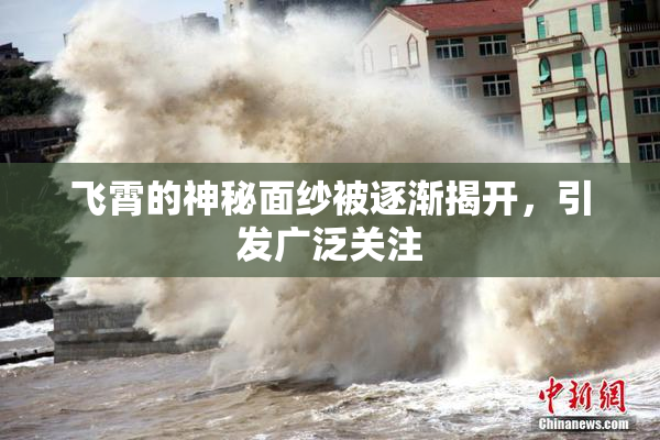 飞霄的神秘面纱被逐渐揭开，引发广泛关注