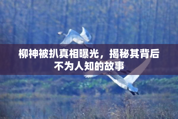 柳神被扒真相曝光，揭秘其背后不为人知的故事