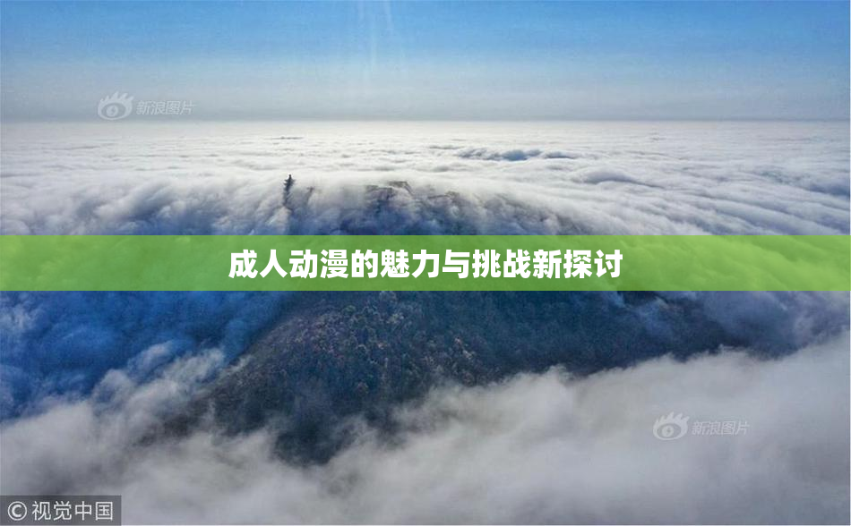 成人动漫的魅力与挑战新探讨
