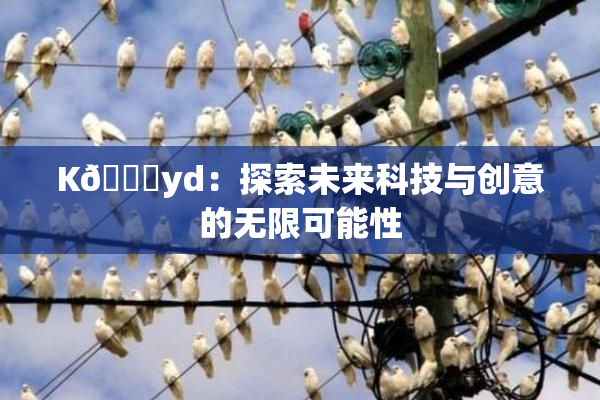 K🈚yd：探索未来科技与创意的无限可能性