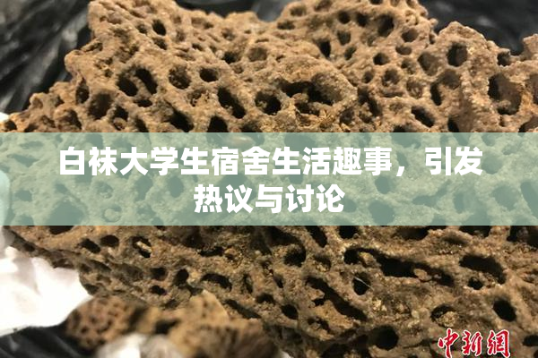 白袜大学生宿舍生活趣事，引发热议与讨论