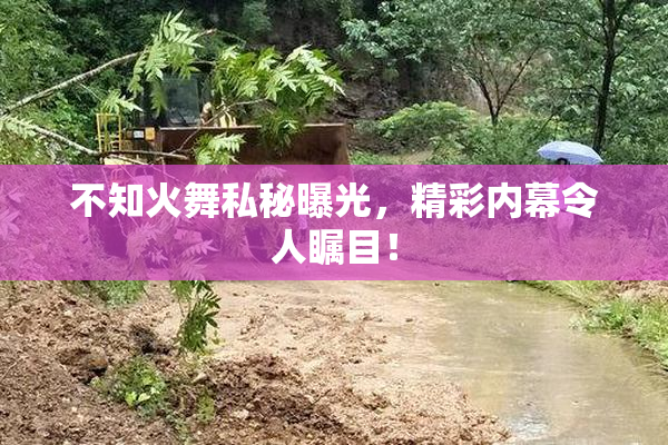 不知火舞私秘曝光，精彩内幕令人瞩目！
