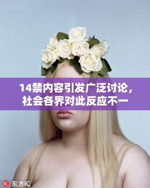 14禁内容引发广泛讨论，社会各界对此反应不一