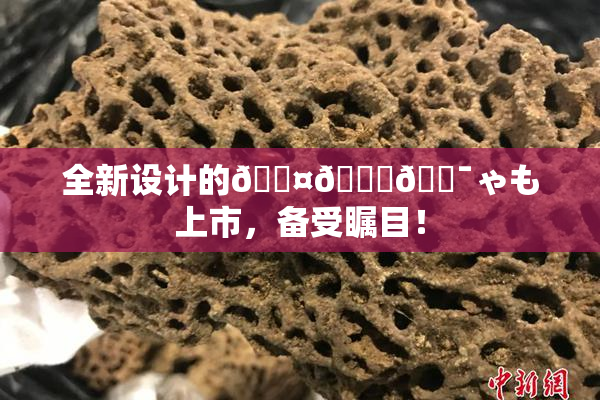 全新设计的🖤🌃🔯ゃも上市，备受瞩目！