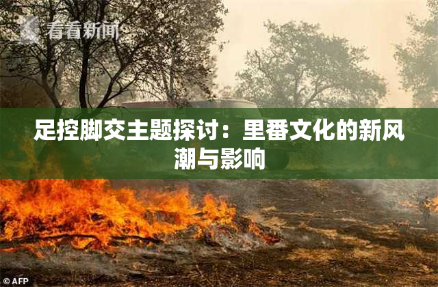 足控脚交主题探讨：里番文化的新风潮与影响