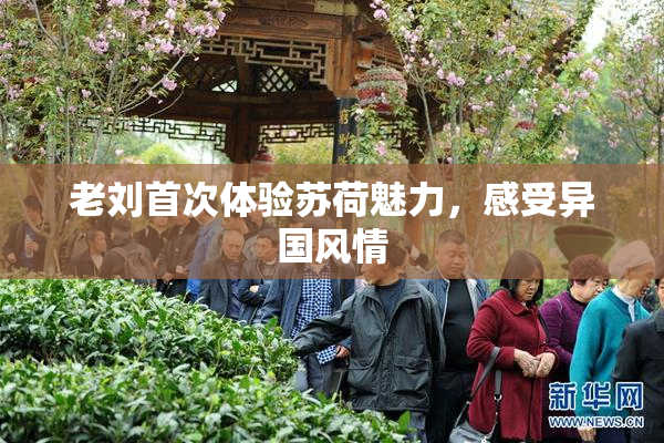 老刘首次体验苏荷魅力，感受异国风情