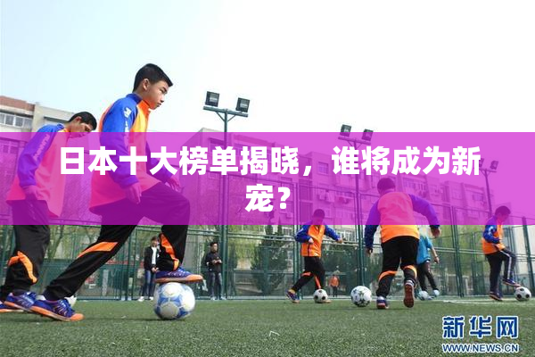 日本十大榜单揭晓，谁将成为新宠？