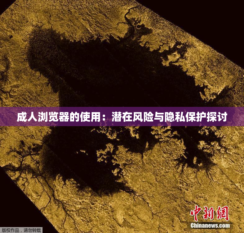 成人浏览器的使用：潜在风险与隐私保护探讨