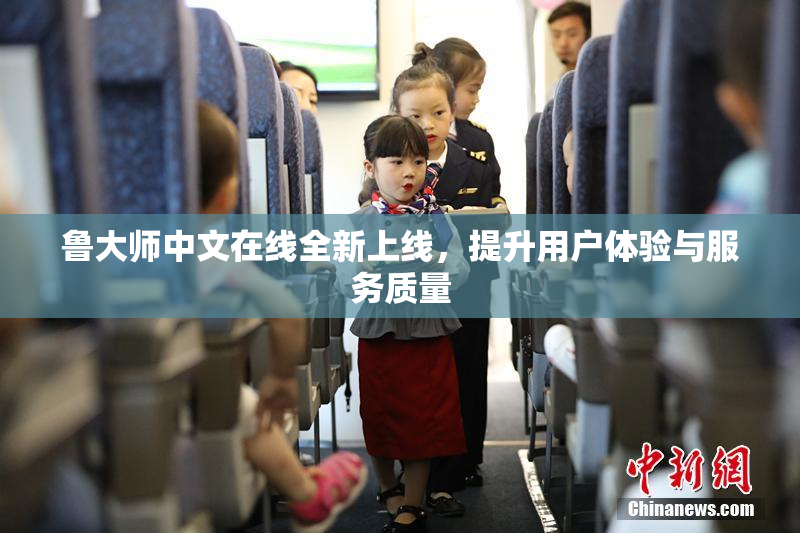 鲁大师中文在线全新上线，提升用户体验与服务质量
