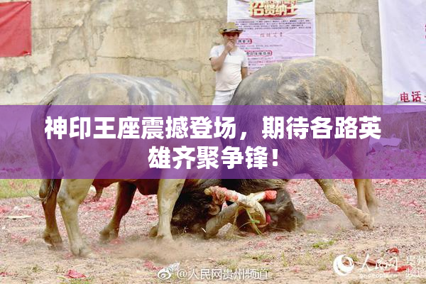 神印王座震撼登场，期待各路英雄齐聚争锋！