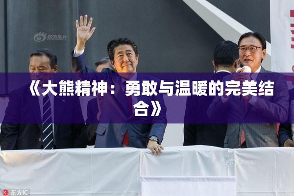 《大熊精神：勇敢与温暖的完美结合》