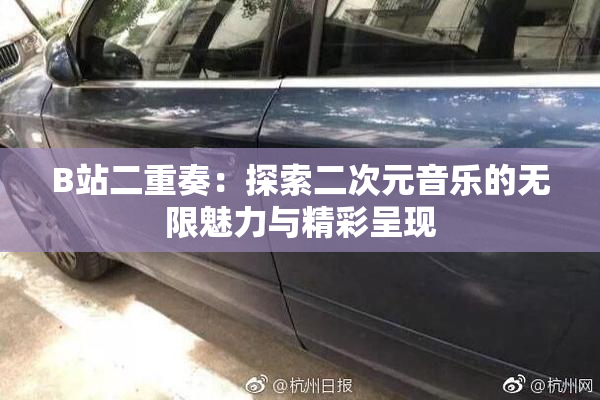 B站二重奏：探索二次元音乐的无限魅力与精彩呈现