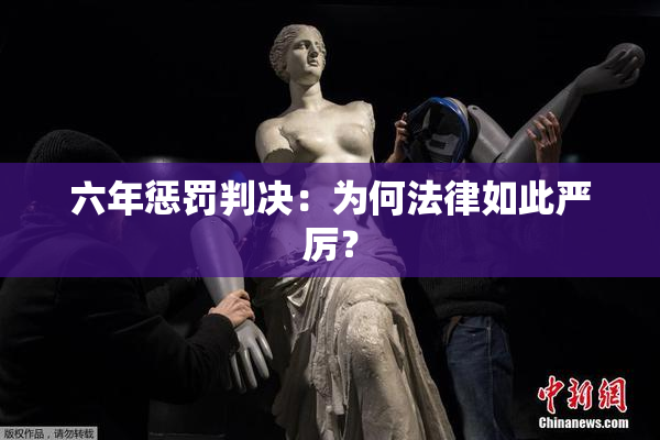 六年惩罚判决：为何法律如此严厉？