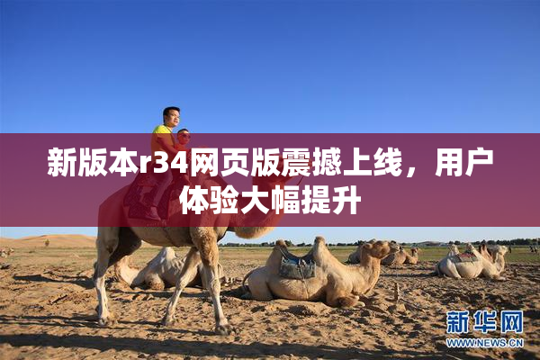 新版本r34网页版震撼上线，用户体验大幅提升