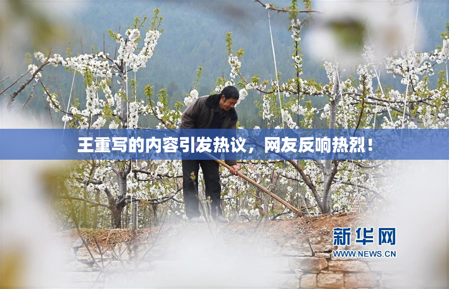 王重写的内容引发热议，网友反响热烈！