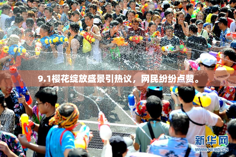 9.1樱花绽放盛景引热议，网民纷纷点赞。
