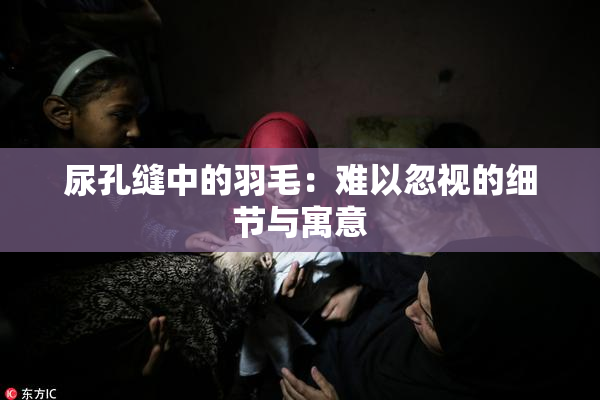 尿孔缝中的羽毛：难以忽视的细节与寓意