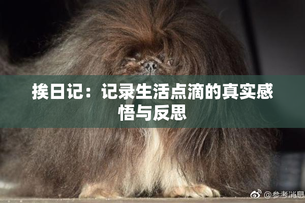 挨日记：记录生活点滴的真实感悟与反思