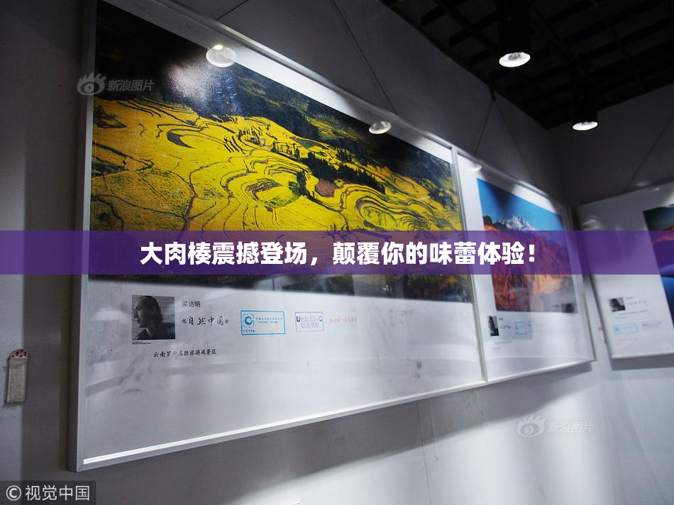 大肉楱震撼登场，颠覆你的味蕾体验！