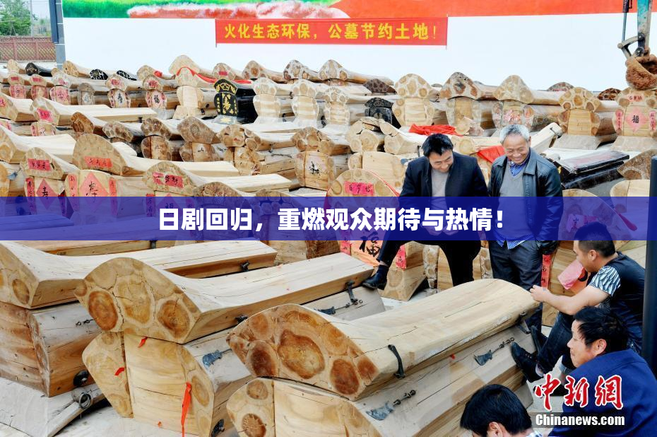 日剧回归，重燃观众期待与热情！
