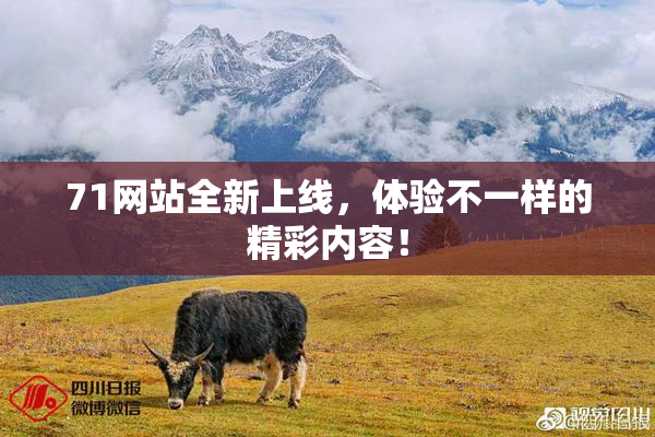 71网站全新上线，体验不一样的精彩内容！