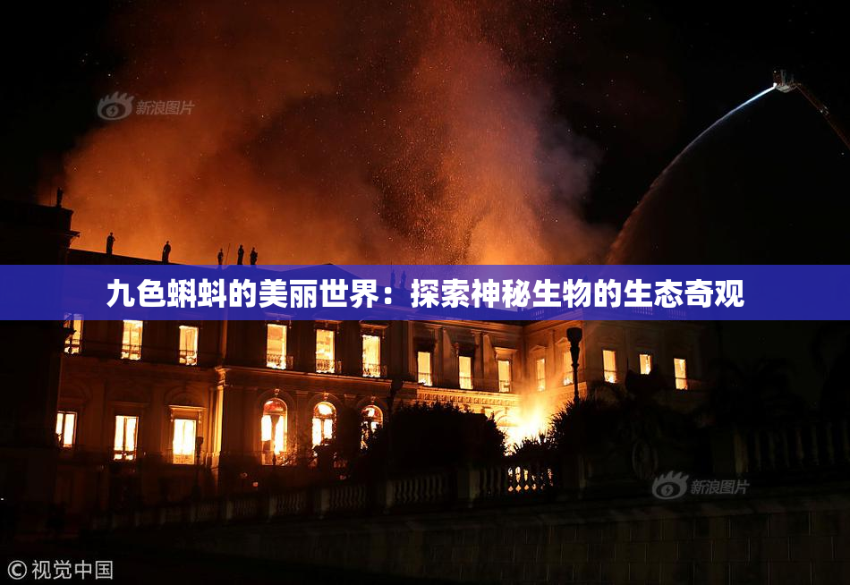 九色蝌蚪的美丽世界：探索神秘生物的生态奇观