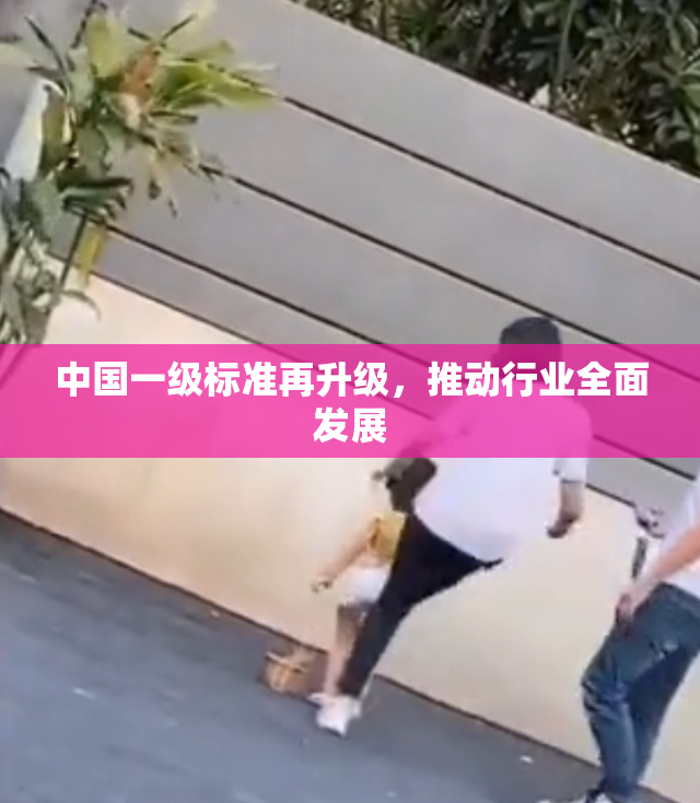 中国一级标准再升级，推动行业全面发展