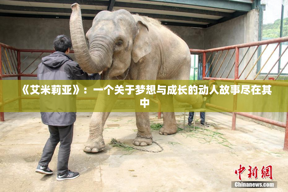 《艾米莉亚》：一个关于梦想与成长的动人故事尽在其中